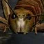 weta weta