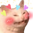 x_catblushuwu Discord emoji