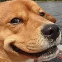 cheeze
