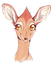dikdik