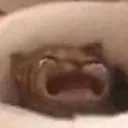 absolutedespair