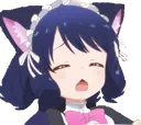 SBRcyanmeow