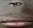 canudont canudont