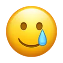 kamismilecry