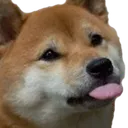 xblep