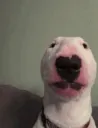 WalterBonked