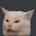 Whatcat whatcat Discord Emoji