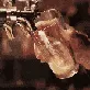 BeerPour