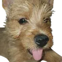 BooBlep BooBlep