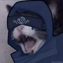 EliCryCat