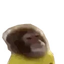 Monkeyy1 Monkeyy1