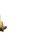 Monkeyy4