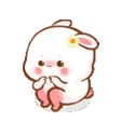 bunnyplead