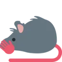 rat_covering_mouth