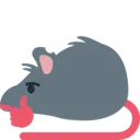 rat_thinking