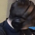 HeythereQT