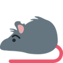 rat_raised_eyebrow