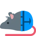 rat_pants