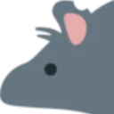 rat_big rat_big