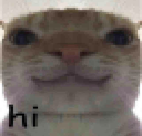 swaghi Discord emoji