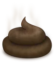 poop