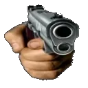 Gun