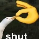 Shut