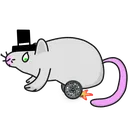 rat