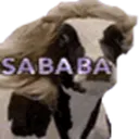 sababa