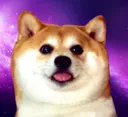 galaxypuppo