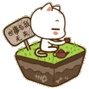 3091_tea