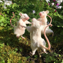 rats Discord emoji