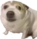 exploded_concern