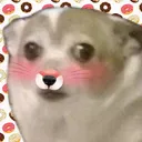 oiezi