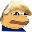 pepeorange Discord Emoji