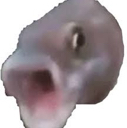 FISHPOG Discord emoji