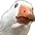bruh