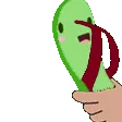 bean_slipper