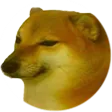 bduckCheems