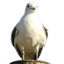 image01