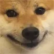 dogeW