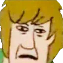 shaggy shaggy