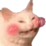 catblush