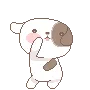 dancedog