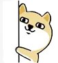 dogepeek dogepeek