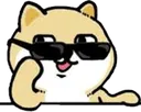 dogesunglasses