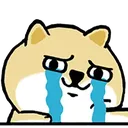 dogecry dogecry