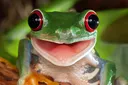 froggy