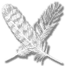 plume_or_feather