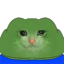 feelschungus